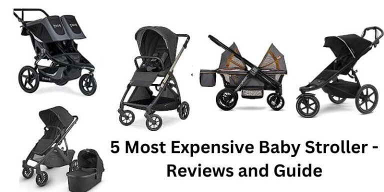 5 Most Expensive Baby Stroller in the World- Reviews and Guide